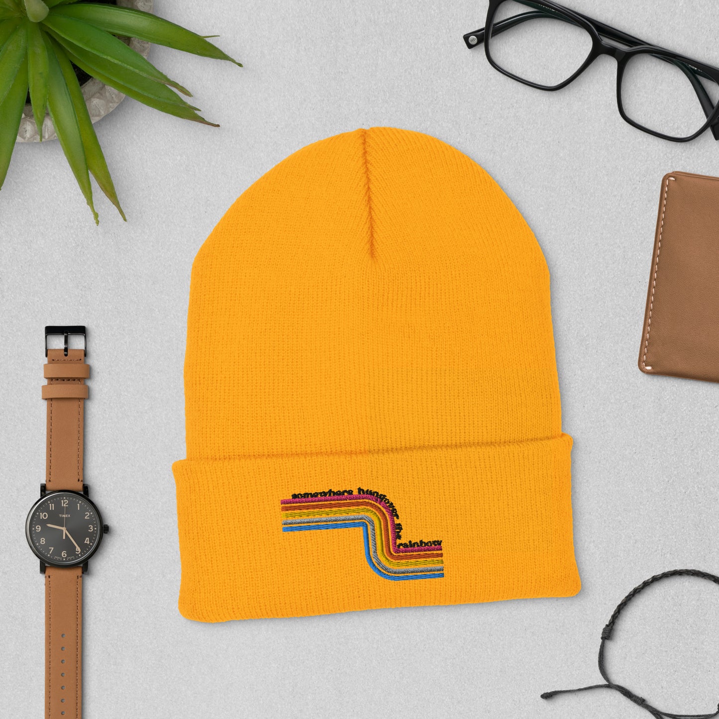 Cuffed Beanie